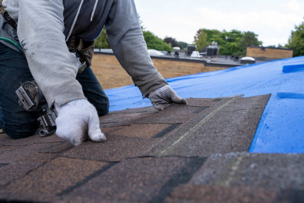 Best Residential Roofing Contractor  in Stockton University, NJ