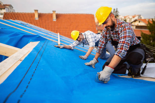 Quick and Trustworthy Emergency Roof Repair Services in Stockton University, NJ